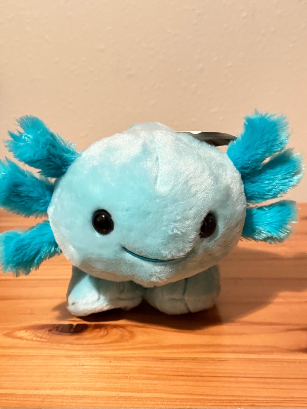 Build A Bear Mint Axolotl Stuffed Animal